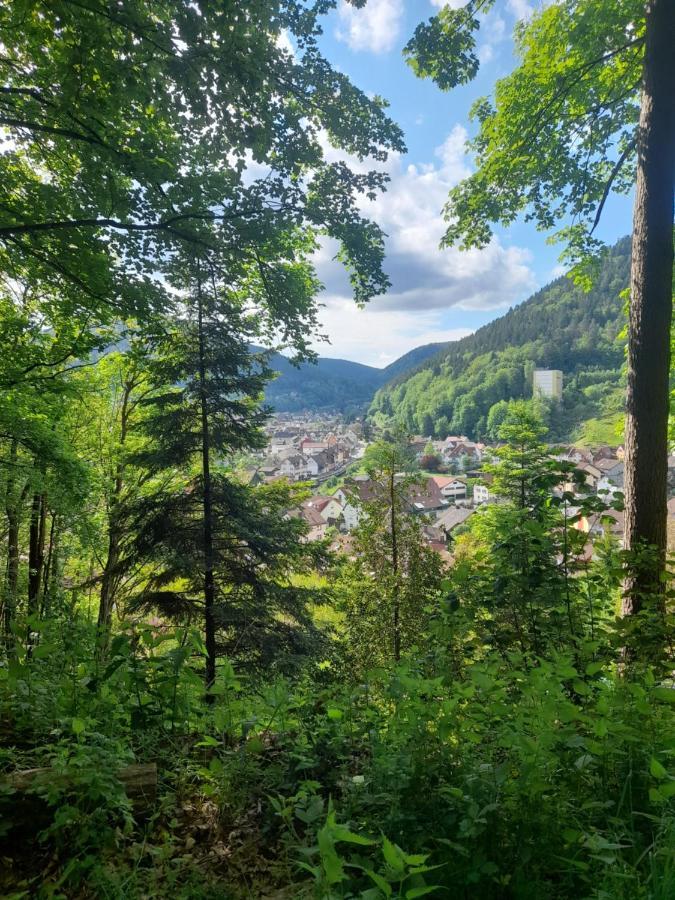 Ferienwohnung Am Enzufer Mit Balkon In Bad Wildbad Im Schwarzwald Exteriér fotografie